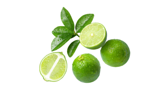 istockphoto-1435729506-612x612-1.png