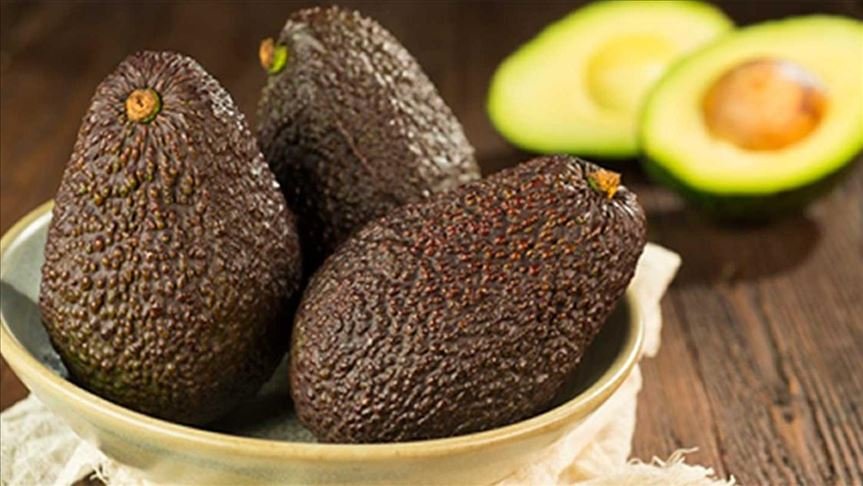 hass_aguacate1